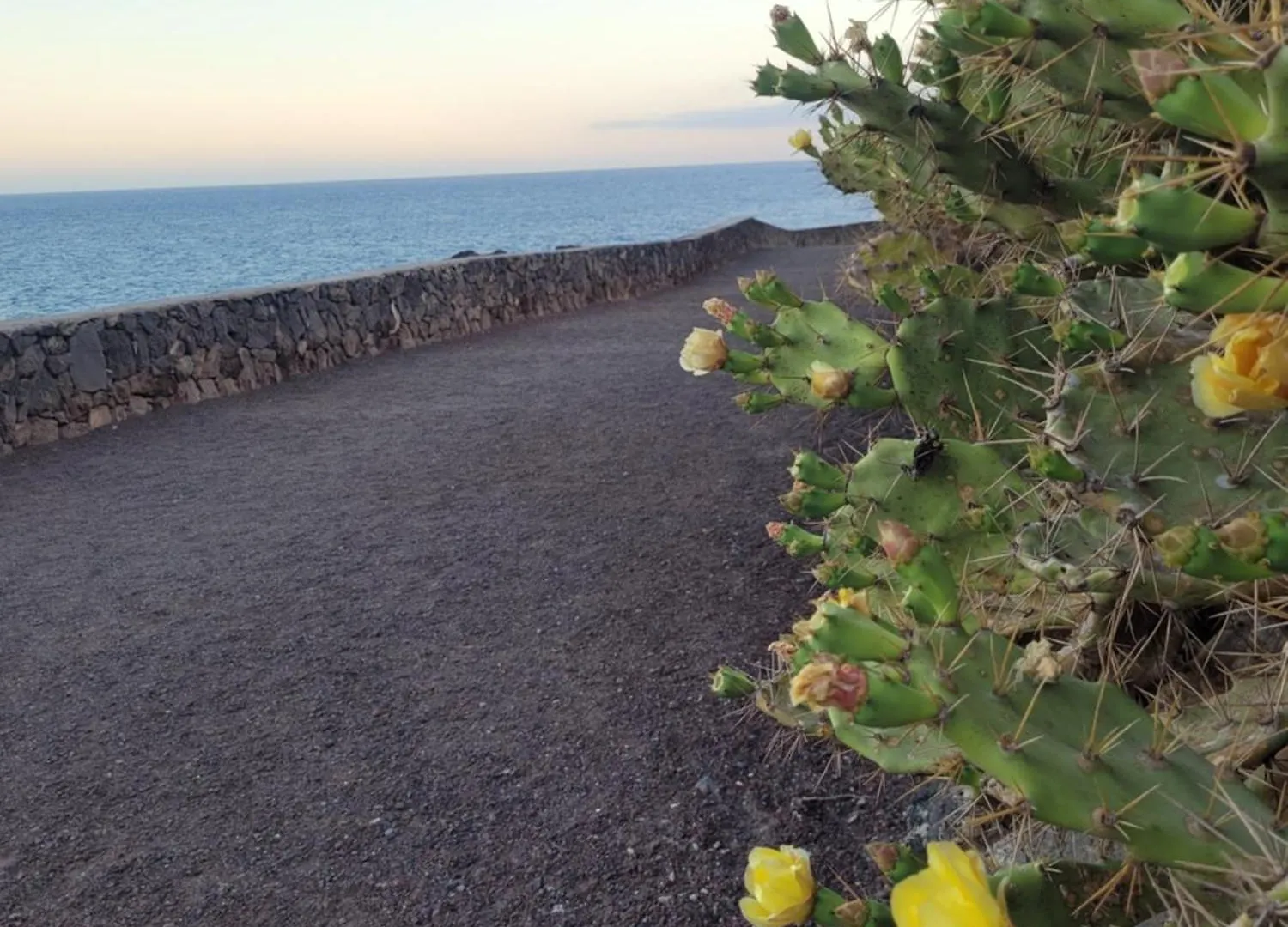 Apartamento Atlantic View Tenerife South Arona